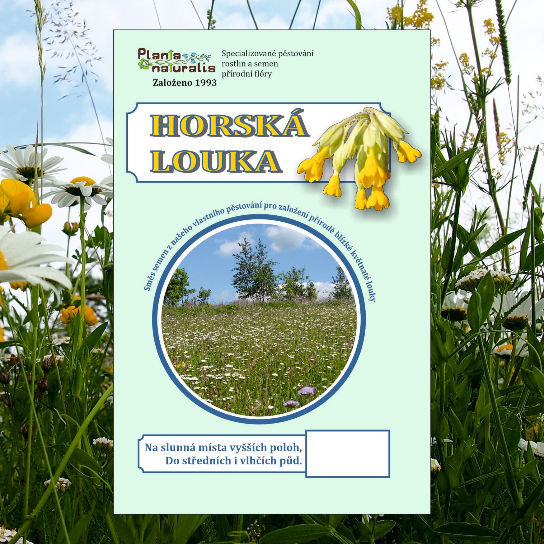 Horská louka