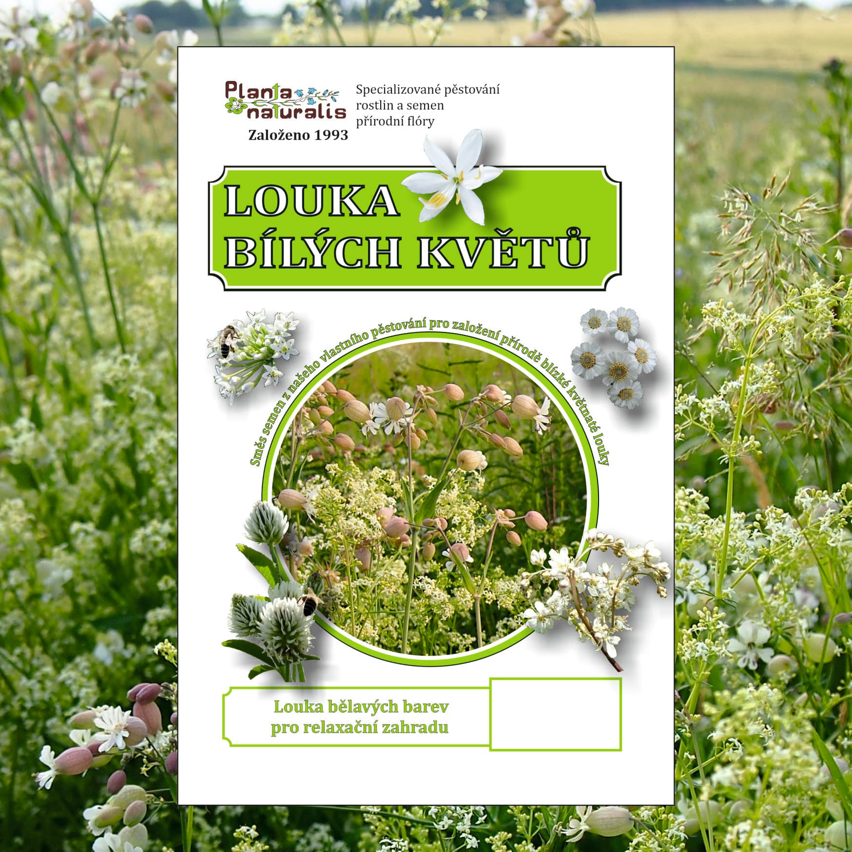 Louka bílých květů