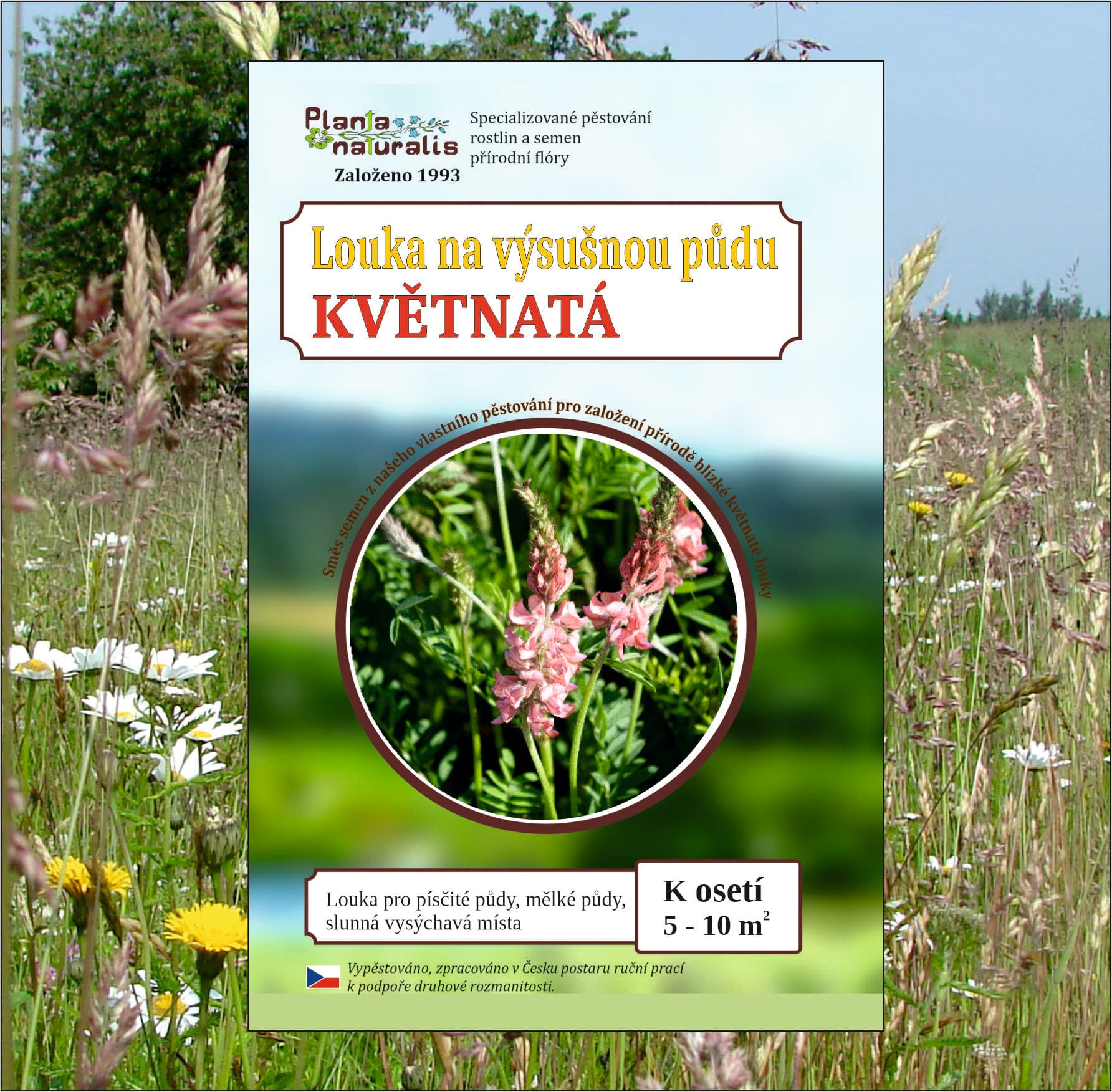 Louka na výsušnou půdu – květnatá 