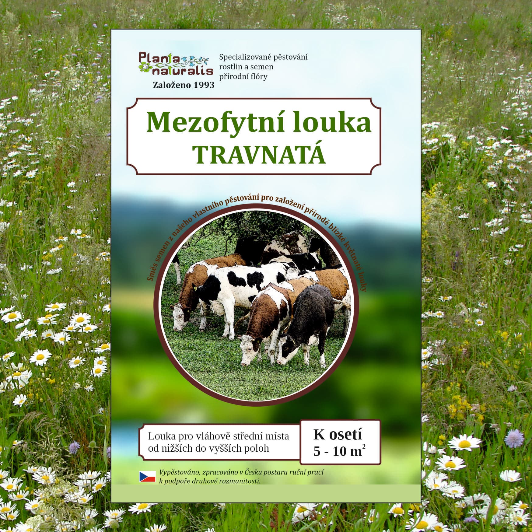 Mezofytní louka – travnatá