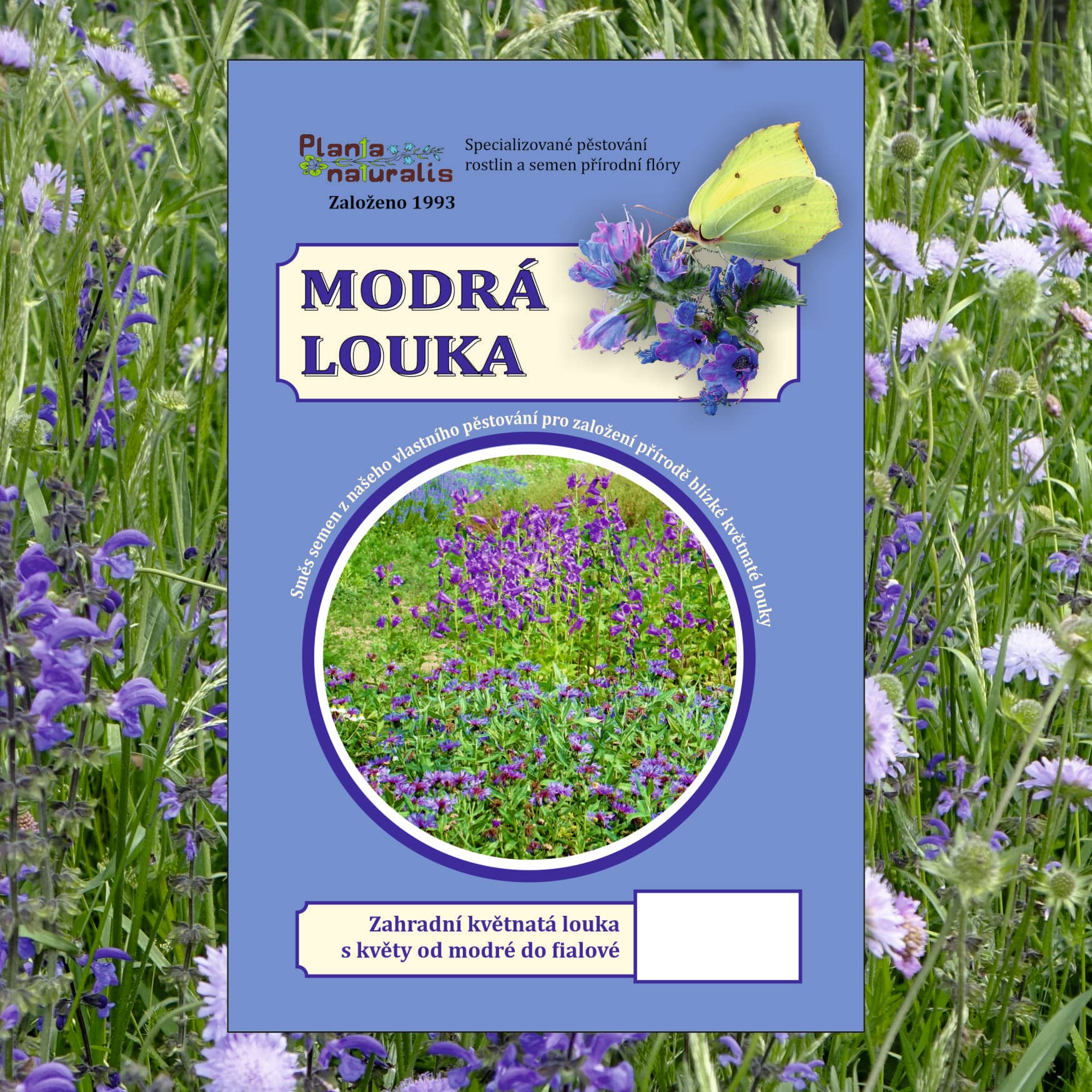 Modrá louka, zvonečková